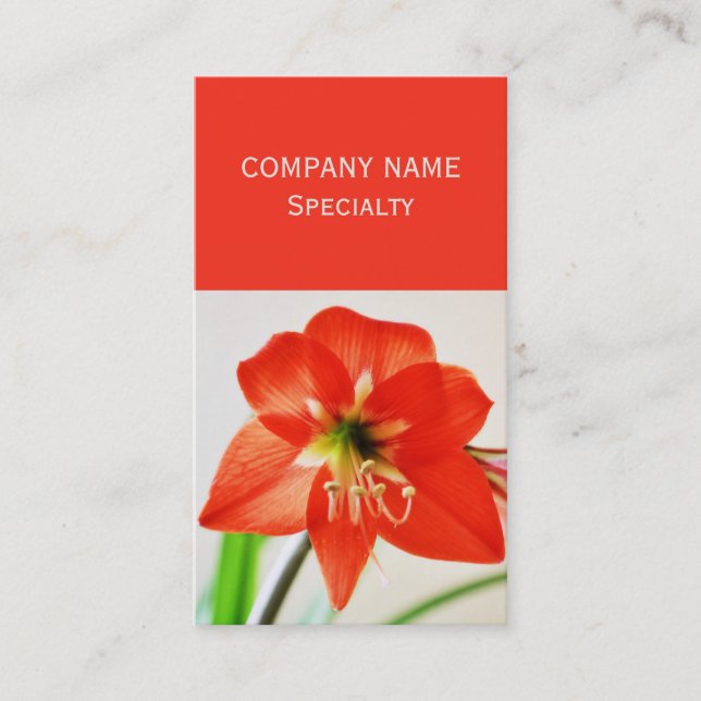Red Amaryllis Flower Business Card (Front)