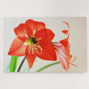 Red Amaryllis Flower Jigsaw Puzzle
