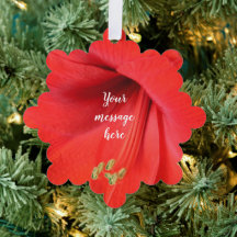 Red Amaryllis Flower Keepsake Picture