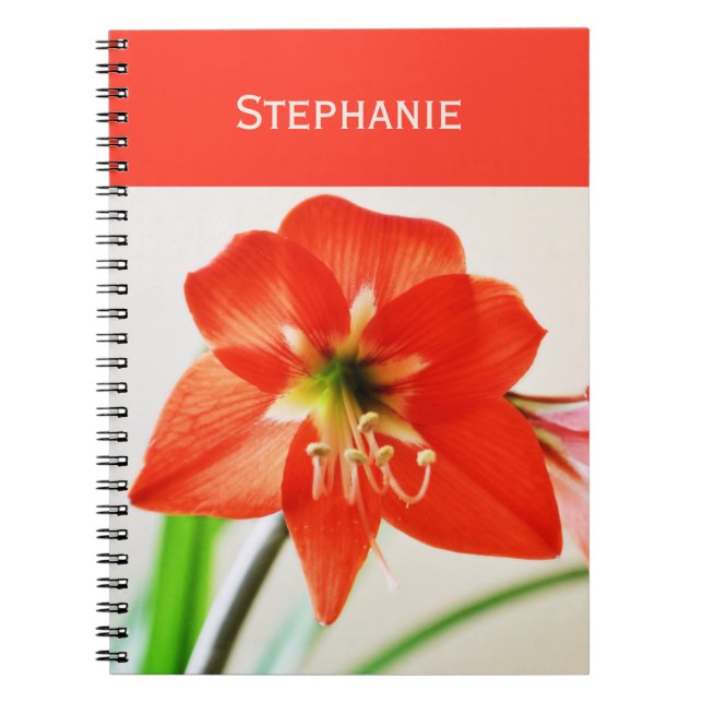 Red Amaryllis Flower Notebook (Front)
