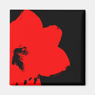 red amaryllis magnet