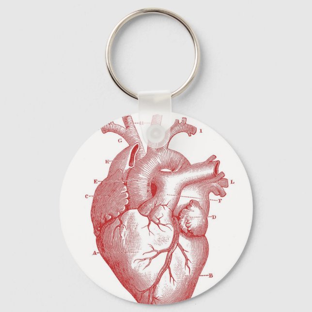 Red Anatomical Heart Key Ring (Front)