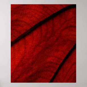 Red and Black Colocasia Abstract Poster