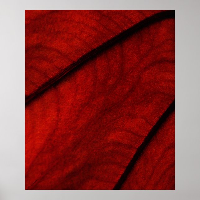 Red and Black Colocasia Abstract Poster (Front)