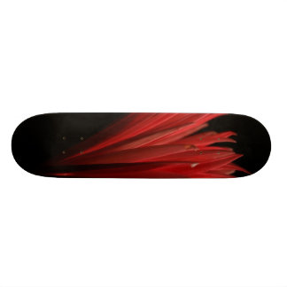 Red and Black design Skateboard