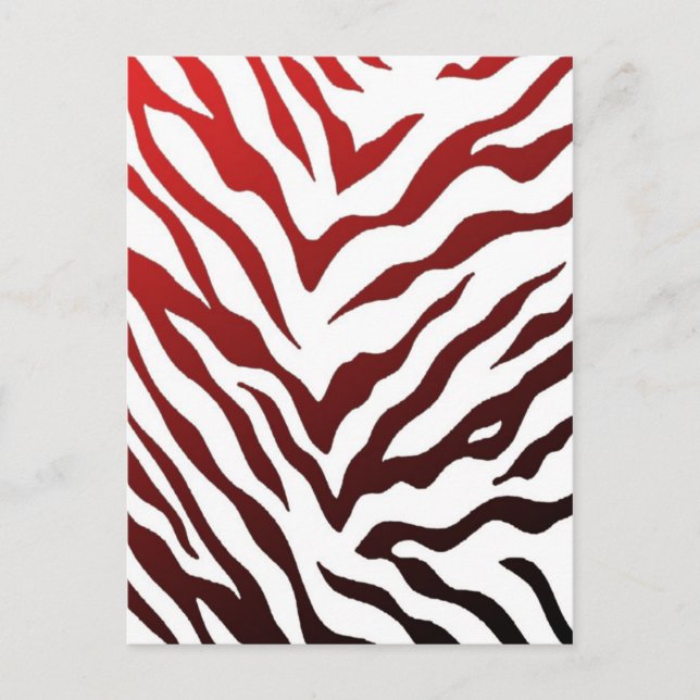 Red and Black Zebra Stripes Postcard (Front)