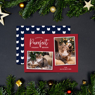 Red and Blue Cat Face Purrfect Holiday Photo