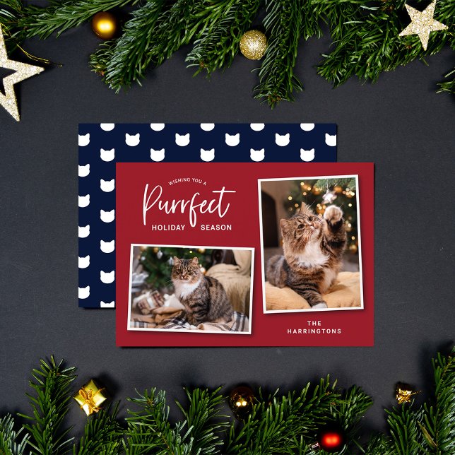 Red and Blue Cat Face Purrfect Holiday Photo (Creator Uploaded)