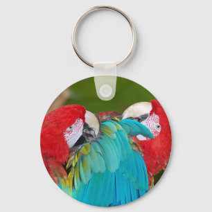 Red and blue macaw parrot print key ring