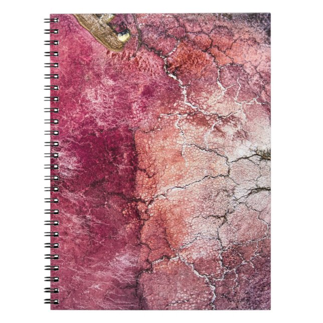 Red and brown abstract painting notebook (Front)
