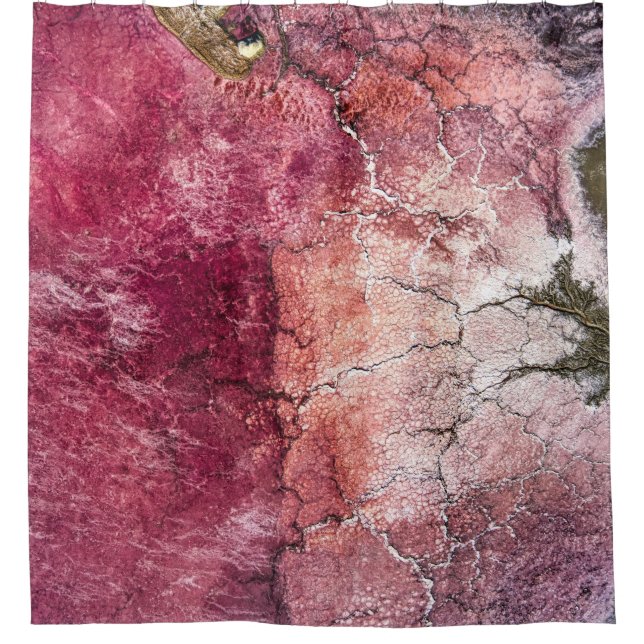 Red and brown abstract painting shower curtain (Front)