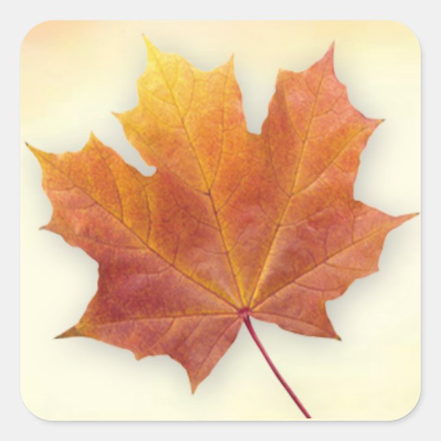 Red and gold autumnal maple leaf Sticker (Front)
