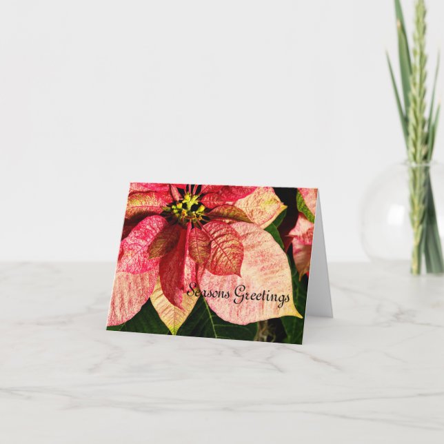 Red and Gold Poinsettia Card (Front)