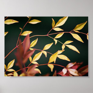 Red and Gold Print