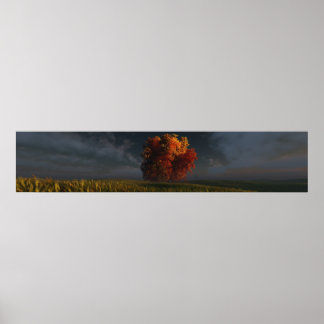 Red and Gold (Triple Wide) Poster