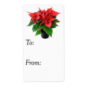Red and Green Christmas Poinsettia Gift Tag