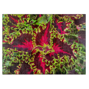 Red and green Coleus plant Cutting Board
