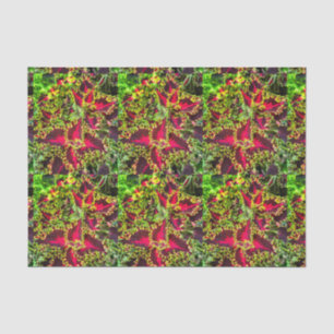 Red and green Coleus plant  Tissue Paper