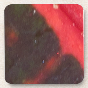 Red and Green Hawaiian Variegated Leaf Coaster