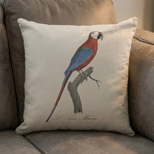 Red-and-green Macaw, Ara chloropterus Cushion