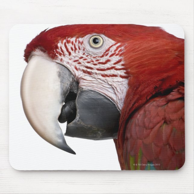 Red-and-green Macaw - Ara chloropterus Mouse Mat (Front)
