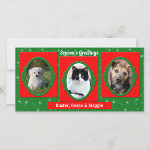 Red and Green Pet Lover 3 Photo Holiday Card