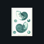 Red and Green Seashell Art Canvas Print<br><div class="desc">Artist Denis Diderot is talented and known for his great sea life images. In this vivid image, he captures two red and green crackled Conch seashells in their most natural style. Conches are often crackled like these two seashells and in a sepia looking tone. Get your seashell product today and...</div>