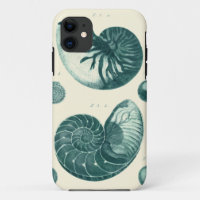 Red and Green Seashell Art