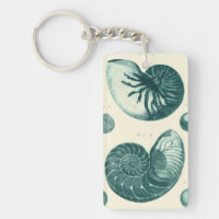 Red and Green Seashell Art