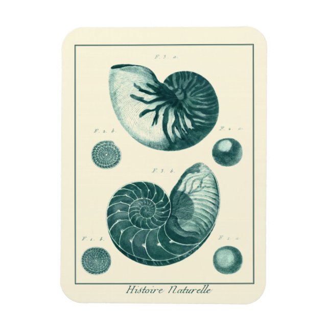 Red and Green Seashell Art Magnet (Vertical)