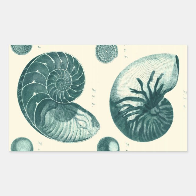 Red and Green Seashell Art Rectangular Sticker (Front)