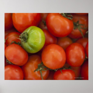 Red and Green Tomatoes with a for Sale Sign