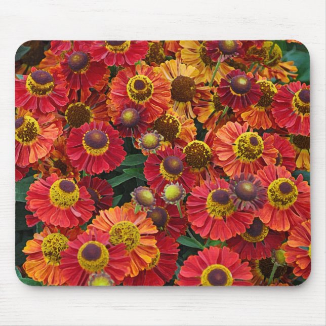 Red and orange helenium flowers mouse mat (Front)