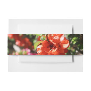 Red and Pink Quince Flowery Wedding Invitation Belly Band