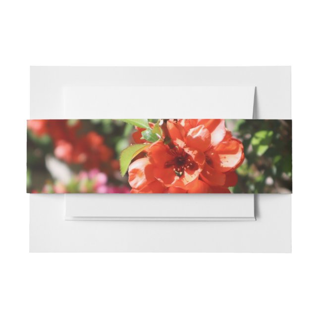 Red and Pink Quince Flowery Wedding Invitation Belly Band (Front Example)