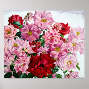 Red and Pink Roses 2008 Poster