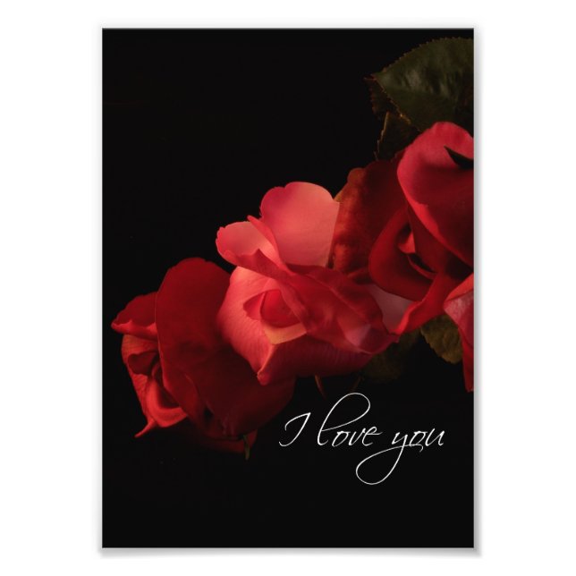 Red and Pink Roses "I love you" Photo Print (Front)