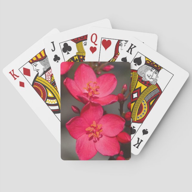 Red and Pink Tropical Fiji Flowers Playing Cards (Back)
