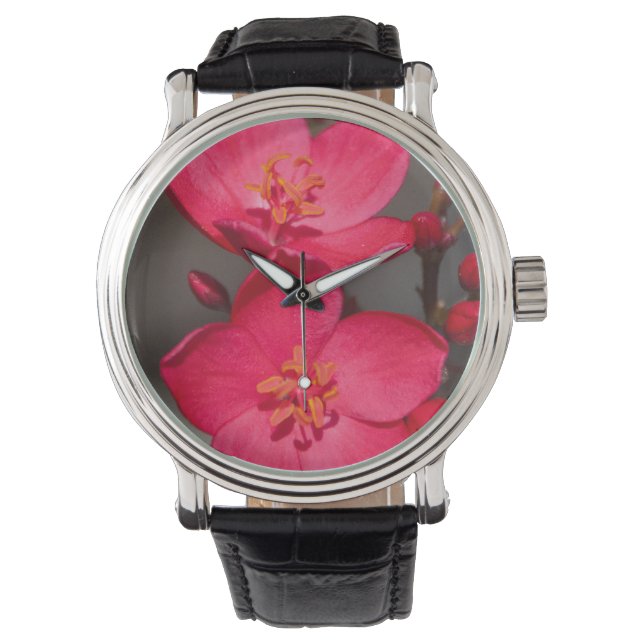 Red and Pink Tropical Fiji Flowers Watch (Front)