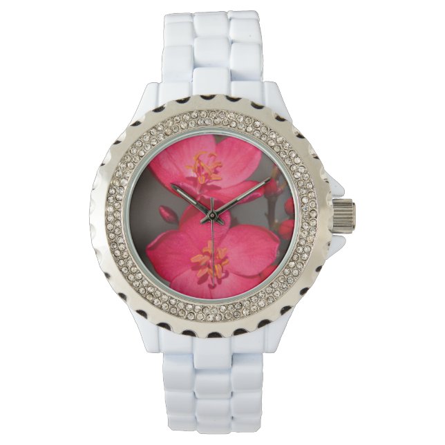 Red and Pink Tropical Fiji Flowers Watch (Front)