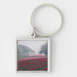 Red and pink tulips greet the day on a misty key ring