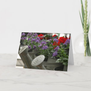 red and purple flowers in watering cans card