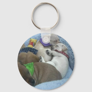 Red and Purple Keychain