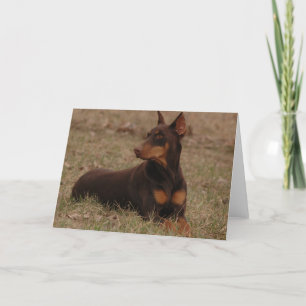 Red and Rust Doberman Card