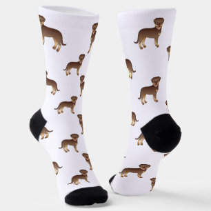 Red And Tan Rottweiler Cute Cartoon Dog Pattern Socks
