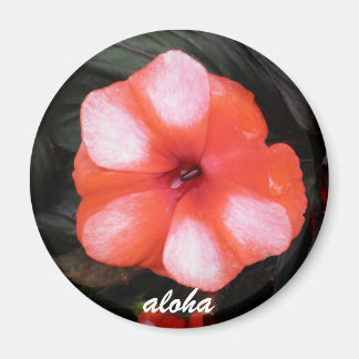 red and white aloha magnet