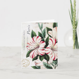 Red and White Amaryllis vintage holiday notecard