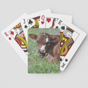 Red and white calf playing cards