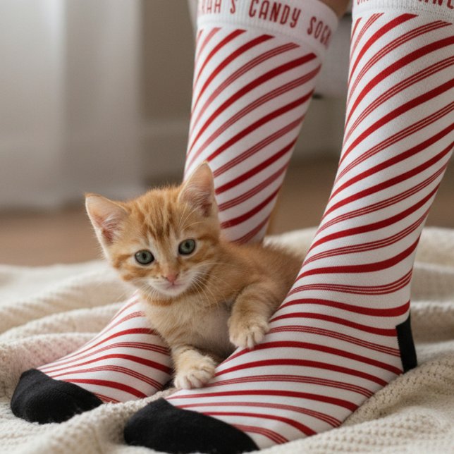 Red and White Candy Cane Striped Christmas Socks (Enjoy holiday cuddles with your furry friend! )