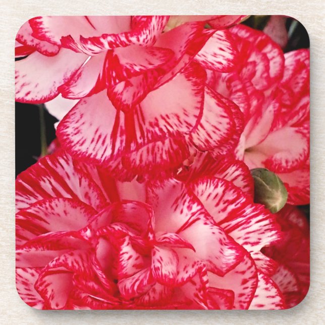 Red and White Carnations-CORK COASTER SET (Front)